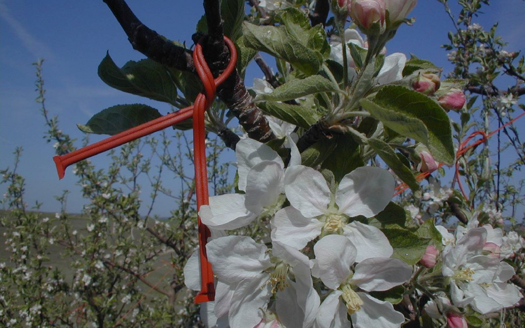 1970年-2000年 スライド画像