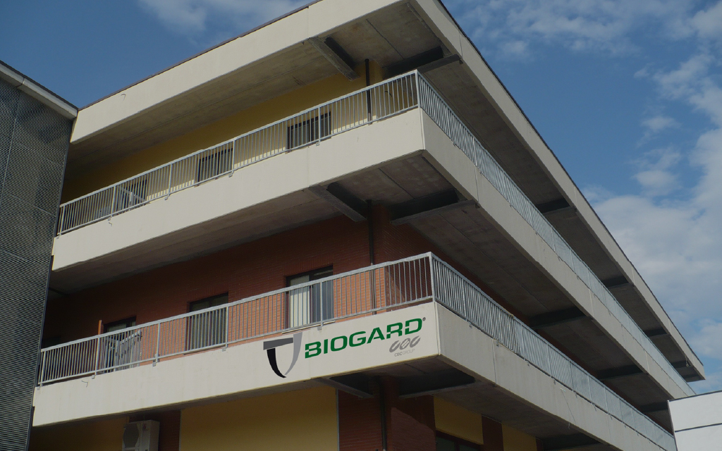 2000年-現在 スライド画像